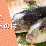 組合わせから生まれるチャレンジ - フグの卵巣を食べた勇者に学ぶ